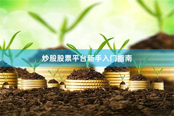 炒股股票平台新手入门指南