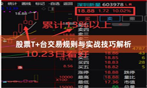 股票T+台交易规则与实战技巧解析