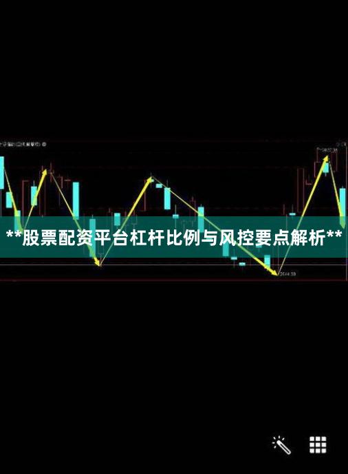 **股票配资平台杠杆比例与风控要点解析**